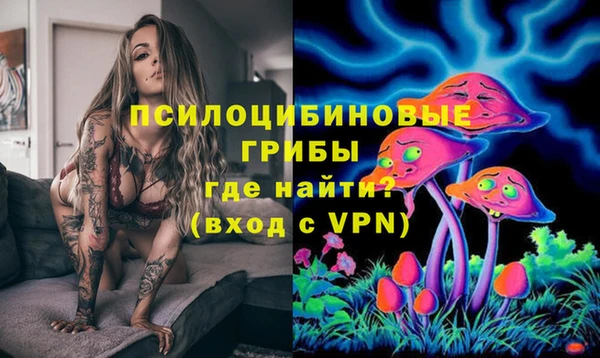 apvp Беломорск